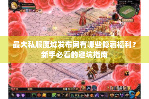 最大私服魔域发布网有哪些隐藏福利？新手必看的避坑指南