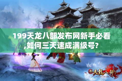 199天龙八部发布网新手必看,如何三天速成满级号?