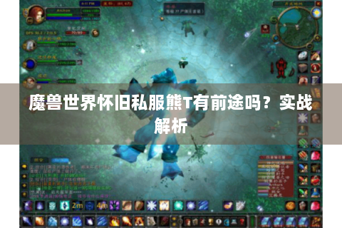 魔兽世界怀旧私服熊T有前途吗？实战解析