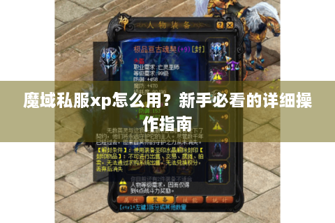 魔域私服xp怎么用？新手必看的详细操作指南