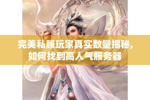 完美私服玩家真实数量揭秘,如何找到高人气服务器