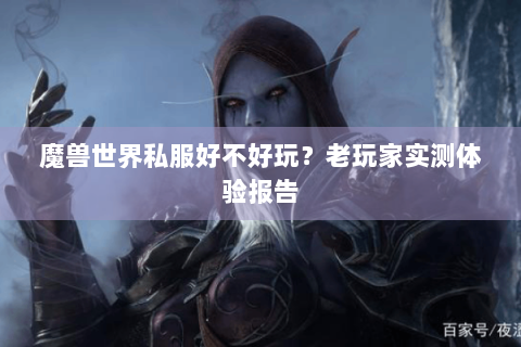 魔兽世界私服好不好玩？老玩家实测体验报告