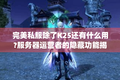 完美私服除了K25还有什么用?服务器运营者的隐藏功能揭秘