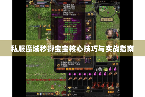 私服魔域秒孵宝宝核心技巧与实战指南