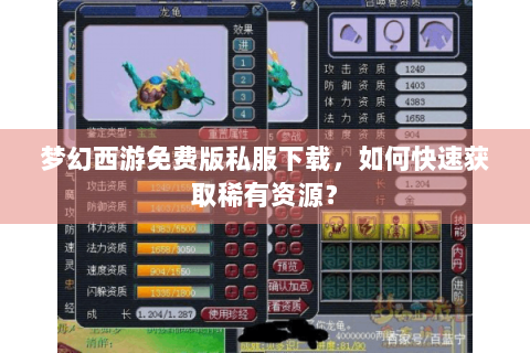 梦幻西游免费版私服下载，如何快速获取稀有资源？