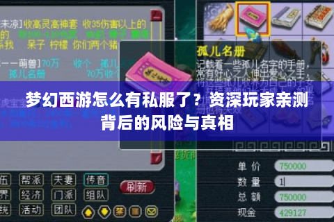 梦幻西游怎么有私服了？资深玩家亲测背后的风险与真相
