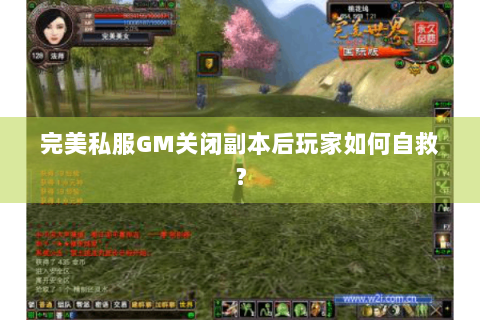 完美私服GM关闭副本后玩家如何自救？