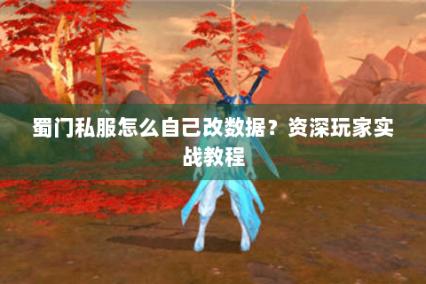 蜀门私服怎么自己改数据？资深玩家实战教程