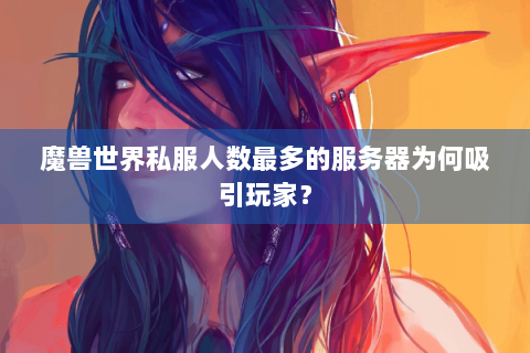 魔兽世界私服人数最多的服务器为何吸引玩家？