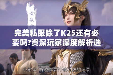 完美私服除了K25还有必要吗?资深玩家深度解析选择策略