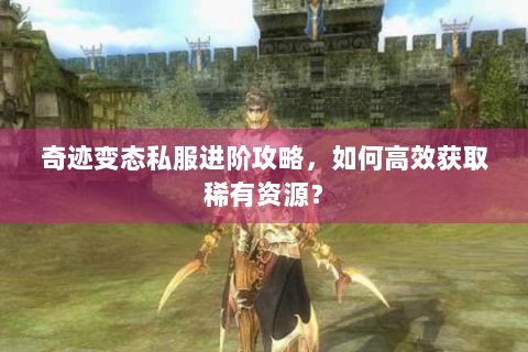 奇迹变态私服进阶攻略，如何高效获取稀有资源？
