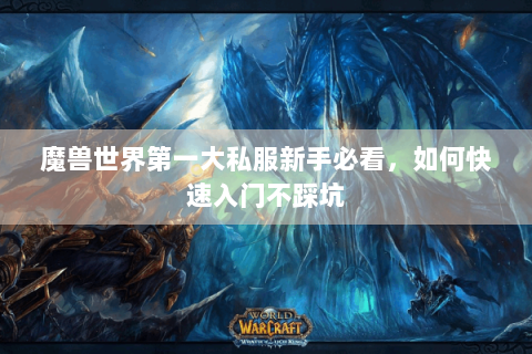 魔兽世界第一大私服新手必看，如何快速入门不踩坑