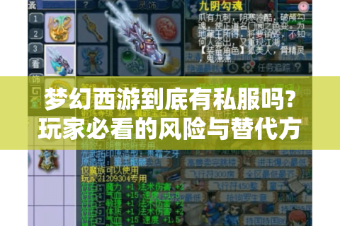 梦幻西游到底有私服吗?玩家必看的风险与替代方案解析