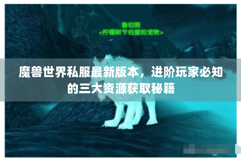 魔兽世界私服最新版本，进阶玩家必知的三大资源获取秘籍