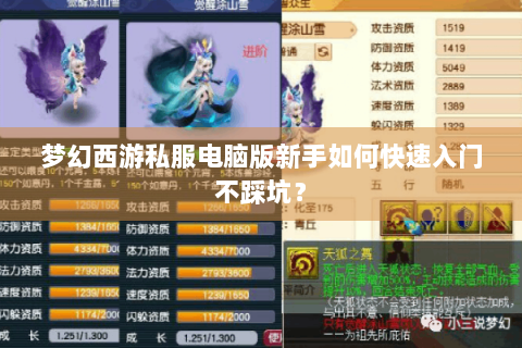 梦幻西游私服电脑版新手如何快速入门不踩坑？