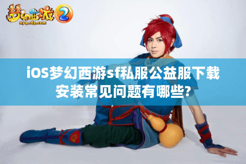 iOS梦幻西游sf私服公益服下载安装常见问题有哪些?