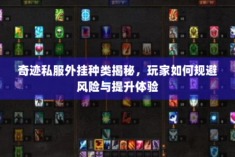 奇迹私服外挂种类揭秘，玩家如何规避风险与提升体验