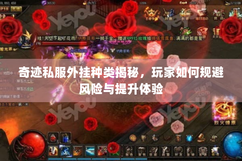 奇迹私服外挂种类揭秘，玩家如何规避风险与提升体验