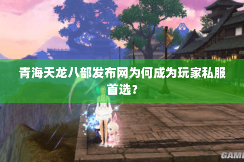青海天龙八部发布网为何成为玩家私服首选？