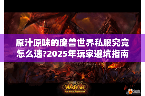 原汁原味的魔兽世界私服究竟怎么选?2025年玩家避坑指南