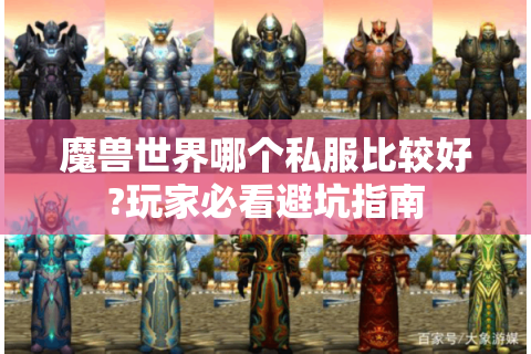 魔兽世界哪个私服比较好?玩家必看避坑指南