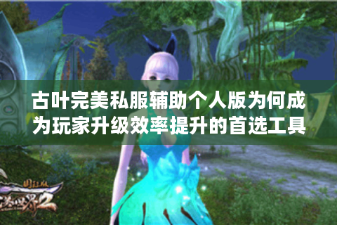古叶完美私服辅助个人版为何成为玩家升级效率提升的首选工具