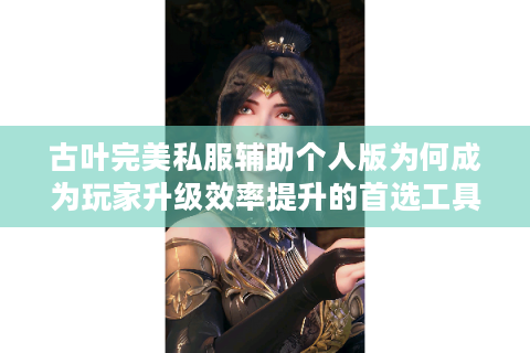古叶完美私服辅助个人版为何成为玩家升级效率提升的首选工具
