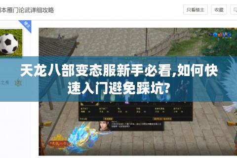 天龙八部变态服新手必看,如何快速入门避免踩坑?