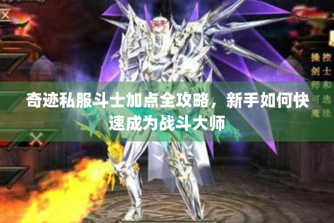 奇迹私服斗士加点全攻略，新手如何快速成为战斗大师