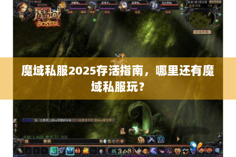 魔域私服2025存活指南，哪里还有魔域私服玩？