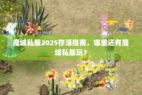 魔域私服2025存活指南，哪里还有魔域私服玩？