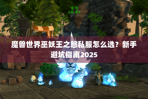 魔兽世界巫妖王之怒私服怎么选？新手避坑指南2025