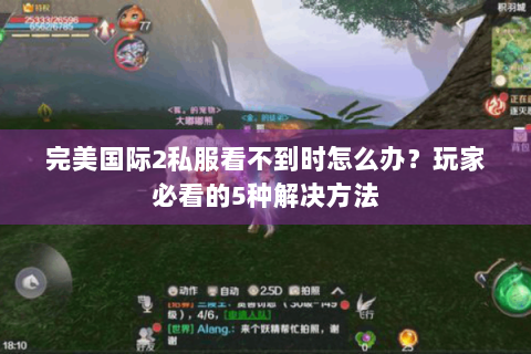 完美国际2私服看不到时怎么办？玩家必看的5种解决方法