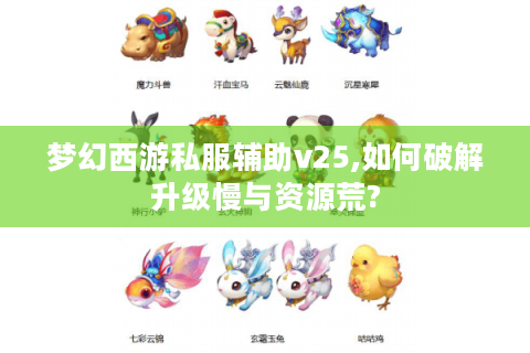 梦幻西游私服辅助v25,如何破解升级慢与资源荒?