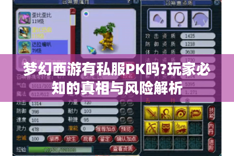 梦幻西游有私服PK吗?玩家必知的真相与风险解析