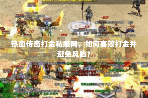 热血传奇打金私服网，如何高效打金并避免风险？