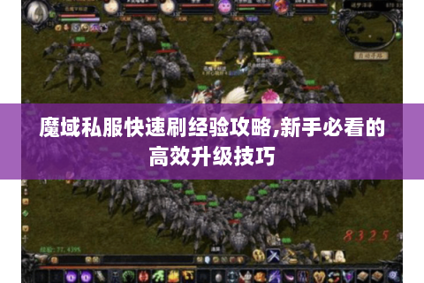魔域私服快速刷经验攻略,新手必看的高效升级技巧