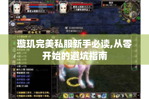 璇玑完美私服新手必读,从零开始的避坑指南