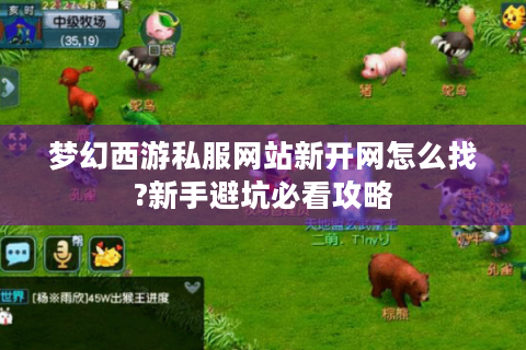 梦幻西游私服网站新开网怎么找?新手避坑必看攻略