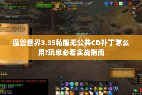 魔兽世界3.35私服无公共CD补丁怎么用?玩家必看实战指南