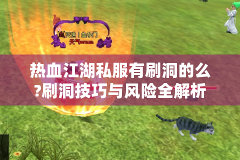 热血江湖私服有刷洞的么?刷洞技巧与风险全解析