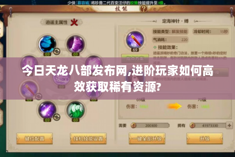 今日天龙八部发布网,进阶玩家如何高效获取稀有资源?