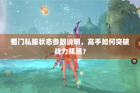 蜀门私服状态参数说明，高手如何突破战力瓶颈？