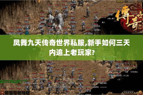 凤舞九天传奇世界私服,新手如何三天内追上老玩家?