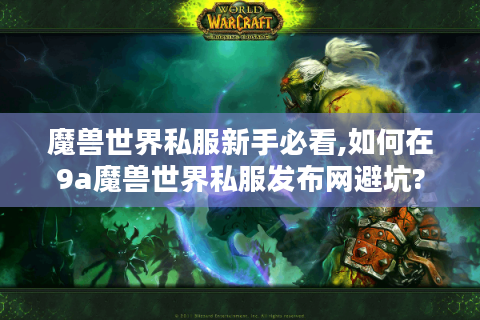 魔兽世界私服新手必看,如何在9a魔兽世界私服发布网避坑?