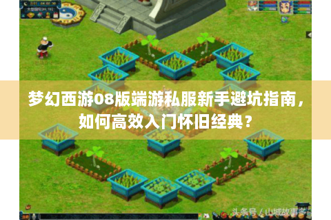 梦幻西游08版端游私服新手避坑指南，如何高效入门怀旧经典？