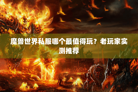 魔兽世界私服哪个最值得玩？老玩家实测推荐