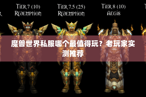 魔兽世界私服哪个最值得玩？老玩家实测推荐