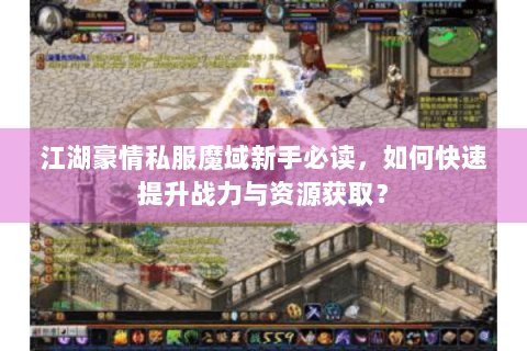 江湖豪情私服魔域新手必读，如何快速提升战力与资源获取？