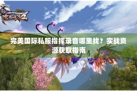 完美国际私服指挥录音哪里找？实战资源获取指南